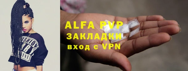 стаф Зеленокумск