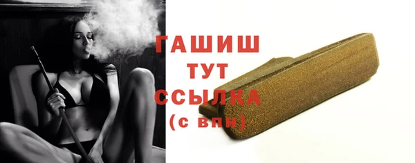 МДПВ Инсар