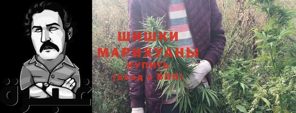стаф Зеленокумск