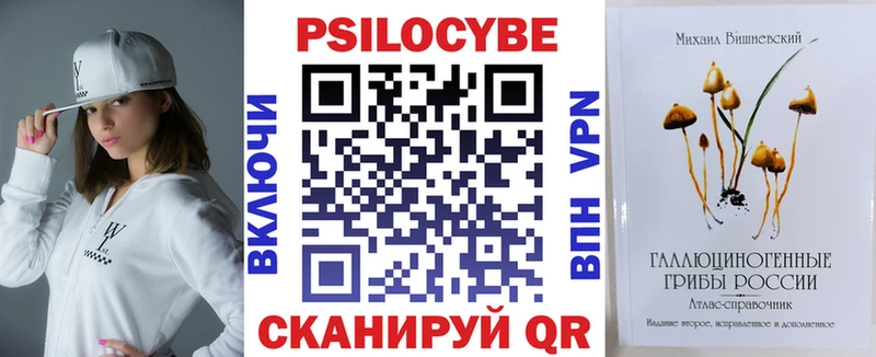 Купить закладки Нижняя Тура Псилоцибиновые грибы ЛСД